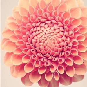 Meet your Posher, Mandy